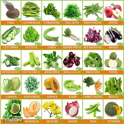 30 Varieties of Vegetable Seeds 1500+ Germination Seeds