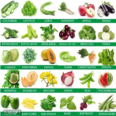 Vegetables Seeds Combo For Growing Vegetables 30 Varieties Combo Pack-thumb0