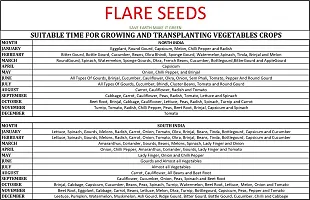 Vegetables Seeds Combo::45 varieties-thumb1