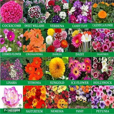 20 Variety Flower Seeds Combo