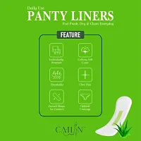 Antibacterial Cottony Aloe Vera Anion Chip Panty Liners (Pack of 100 Liners) (Small Size - 155mm)-thumb2