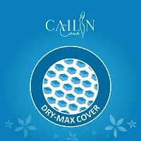 Cailin Care Antibacterial Extra Dry Sanitary Napkin Sanitary Pads (Size - 280mm | XXL) (Combo of 2 Packet) (Total 80 Pads)-thumb1