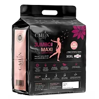 Cailin Care Antibacterial Extra Dry Sanitary Napkin Sanitary Pads (Size - 320mm | XXXL) (Combo of 4 Packet) (Total 160 Pads + Free 40 Panty Liner)-thumb2