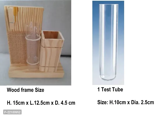 DDSS (SP- 280) Wall Hanging Plant Test Tube Flower Vase Tabletop Glass with Wooden Pen Holder for Home/Office - 1 Test Tubes-thumb2