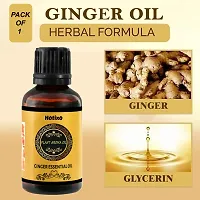 Natural Ginger Flavor Essential Oil-thumb2