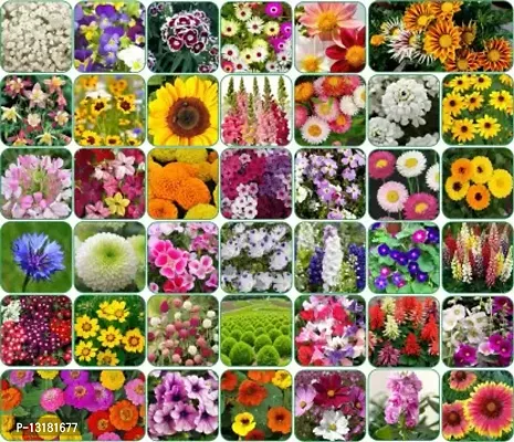 FLARE SEEDS 40 Variety of Flower Seeds Combo-thumb0