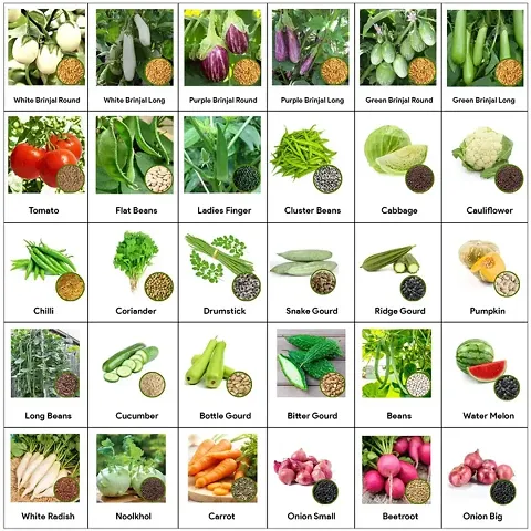 Flare Seeds 30 Variety of Vegetable Seeds Combo