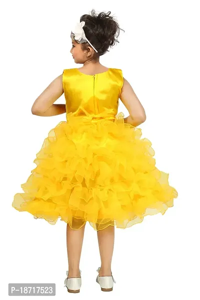 Highlight Fashion Premium Baby Girls Net somia Dress-Pack of 1-thumb4