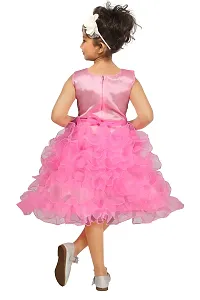Highlight Fashion Premium Baby Girls Net somia Dress-Pack of 1-thumb3