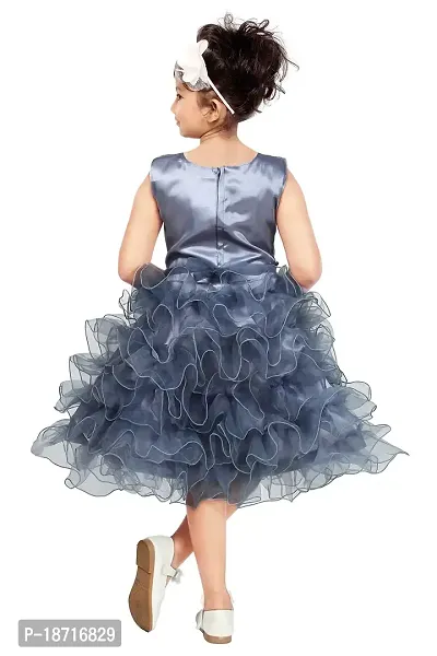 Highlight Fashion Premium Baby Girls Net somia Dress-Pack of 1-thumb4