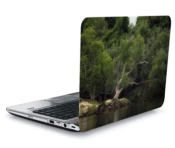 QTH Natural Laptop Skin Sticker Suitable Upto 15.5 INCH Laptop QTH-L2-0129