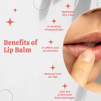 SCIIAN Watermelon Lip Balm | Moisturizing Lip Balms 10g | Lip Balm for Dry Lips | Lip Balm for Women | Lip Balm for Dark Lips to Lighten | Lip Balm with spf-thumb4