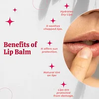 SCIIAN Rose Lip Balm for Dry  Chapped Lips10 gm | Moisturizing Lip Balms | lip balm with spf | lip balm for dark lips to lighten | lip balm for dry lips | lip balm for women | Pack of 1-thumb4