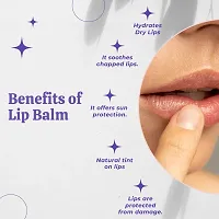 SCIIAN Herbal Lip Balm For Dry Damaged and Chapped Lips | An Ayurvedic Lip Moisturizer LipBalm (Pack of 1)-thumb3