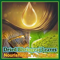 J Organics Bhringraj Dry Leaves Raw Bringraj Leaf Bhrangraj Bhangra Bhringraj For Hair Regrowth Scalp Treatment Dry Frizzy Curly Straight Wavy Hair Type (50 Grams)-thumb2