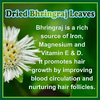 J Organics Bhringraj Dry Leaves Raw Bringraj Leaf Bhrangraj Bhangra Bhringraj For Hair Regrowth Scalp Treatment Dry Frizzy Curly Straight Wavy Hair Type (50 Grams)-thumb4