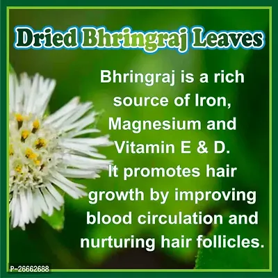 J Organics Bhringraj Dry Leaves Raw Bringraj Leaf Bhrangraj Bhangra Bhringraj For Hair Regrowth Scalp Treatment Dry Frizzy Curly Straight Wavy Hair Type (50 Grams)-thumb5