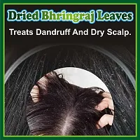 J Organics Bhringraj Dry Leaves Raw Bringraj Leaf Bhrangraj Bhangra Bhringraj For Hair Regrowth Scalp Treatment Dry Frizzy Curly Straight Wavy Hair Type (50 Grams)-thumb3