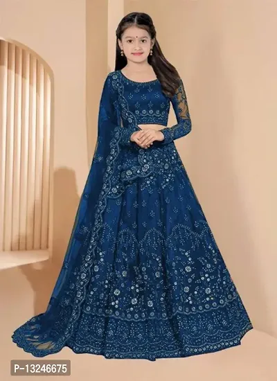Alluring Blue Net Embroidered Lehenga with Choli And Dupatta Set For Women