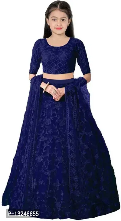 Alluring Blue Net Embroidered Lehenga with Choli And Dupatta Set For Women-thumb0