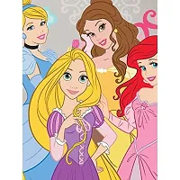 Disney Princess & Cindrella Kids Pillow Cover Pack of 2-thumb4