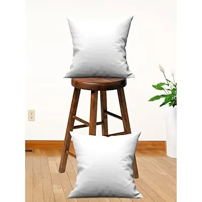 Athom Living White Cushion Insert/Cushion 40x40 cm (Pack of 2)