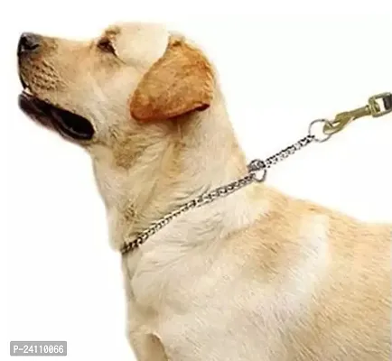 ImegaZ Steel Dog Chain with both Corner Rings for Small  Medium Dogs Length - 4 Feet
