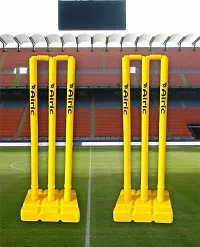 Airic Target Heavy Quality Plastic Wickets (Set Of 6) Cricket Stumps-thumb1