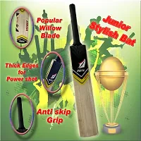 Airic Dashing Kashmiri Popular Willow bat with Plastic Wicket Set for kids (Size 1) Cricket Kit-thumb1