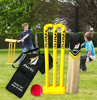 Airic Dashing Kashmiri Popular Willow bat with Plastic Wicket Set for kids (Size 1) Cricket Kit-thumb2