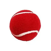Airic Dashing Kashmiri Popular Willow bat with Plastic Wicket Set and Tennis Ball (Size 6) Cricket Kit-thumb2