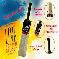 Airic Dashing Kashmiri Popular Willow bat with Plastic Wicket Set and Tennis Ball (Size 6) Cricket Kit-thumb3