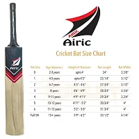 Airic Dashing Kashmiri Popular Willow bat with Plastic Wicket Set and Tennis Ball (Size 6) Cricket Kit-thumb4