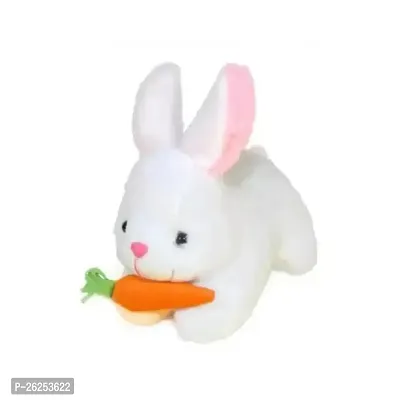 Beautiful Super Soft White Rabbit Soft Toy For Kids, Babies