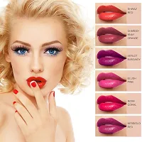 bridester 6 PCS colors wine bottle style lip gloss tubes lip tint matte lipstick-thumb4