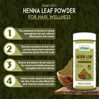 IYUSH Herbal Ayurveda Amla Shikakai Reetha Powder for Hair with 13 Herbs plus Indigo Powder and Henna Powder for Hair Colour ? 750gm | Herbal Hair Wash Powder | Hair Volume Powder | 250gm each-thumb3