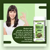 IYUSH Herbal Ayurveda Brahmi Powder ? 250gm | Bacopa Monnieri Powder | Brahmi Powder for Hair Growth | Bramhi Organic Powder | Hair Volume Powder | Hair Volumizing Powder |-thumb4