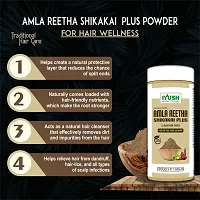 IYUSH Herbal Ayurveda Amla Shikakai Reetha Powder for Hair with 13 Herbs plus Indigo Powder and Henna Powder for Hair Colour ? 750gm | Herbal Hair Wash Powder | Hair Volume Powder | 250gm each-thumb2