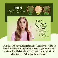 IYUSH Herbal Ayurveda Amla Powder with Indigo for Hair and Henna Colour ? | Natural Mask Dry Frizzy Volume each-thumb4