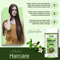 IYUSH Herbal Ayurveda Brahmi Powder ? 250gm | Bacopa Monnieri Powder | Brahmi Powder for Hair Growth | Bramhi Organic Powder | Hair Volume Powder | Hair Volumizing Powder |-thumb2