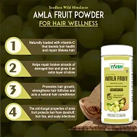 IYUSH Herbal Ayurveda Amla Powder with Katha Powder and Herbal Henna Powder for Hair Colour ? 750gm | Natural Hair Colour | Hair Mask for Dry and Frizzy Hair | Hair Volume Powder | 250gm each-thumb4