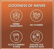 Kaipo Ganoderma Toothpaste - Fresh breath, Anti-Bacterial, Super Clean Teeth, Makes Teeth and Gums Healthier : 100gms : Pack of 2-thumb2