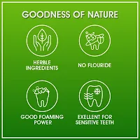 Kaipo Noni Toothpaste - Toothpaste for Complete Oral Care : 100gms : Pack of 4-thumb4