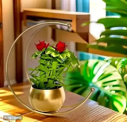 Decorative Table Flower Pot Vase For Home Decor-thumb0