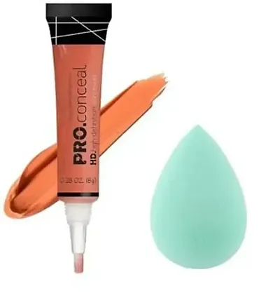 Waterproof Pro Makeup Concealer