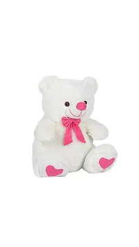 Nihan Enterprises White  Pink Tie Color Teddy Bear 45 cm-thumb1