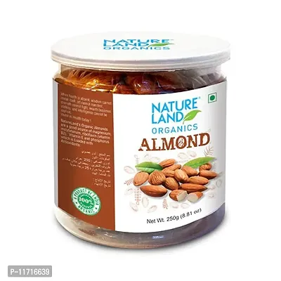 Premium Organic Almond Dry Fruits 250gm