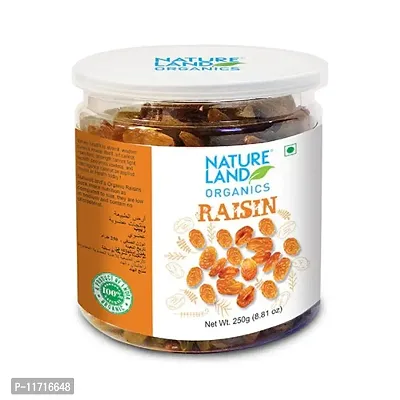 Premium Organic Raisin Dry Fruits 250gm-thumb0