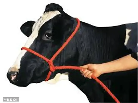 Morkhee animal rope cow rope-thumb0