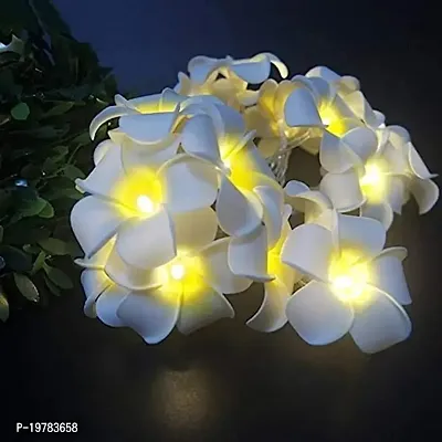 Stylish Lights for Home Decorative for Wedding and Party-thumb0